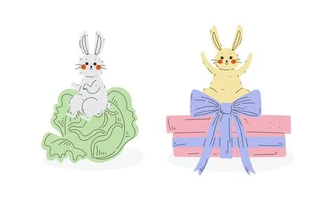 Cute Rabbit or Bunny with Long Ears Sitting Cabbage and Wrapped Gift Box Vector Illustrazione stock