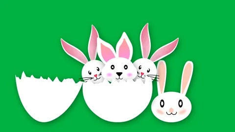 Cute rabbits looking from broken egg animation on green screen Stock Footage 266787683