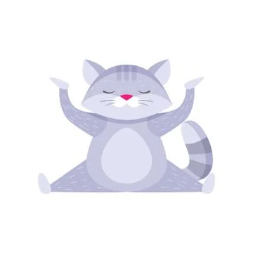 Cute raccoon doing cross split and meditating isolated on white background 스톡 일러스트