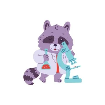 Cute racoon scientist with microscope and lab tube of chemical, vector cartoon 스톡 일러스트