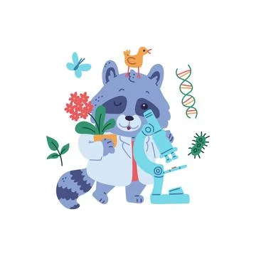 Cute racoon scientist with microscope, vector cartoon animal in white coat Stock Illustration