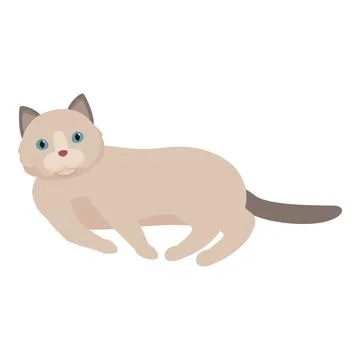 Cute ragdoll cat relaxing, lying with paws outstretched Stock Illustration