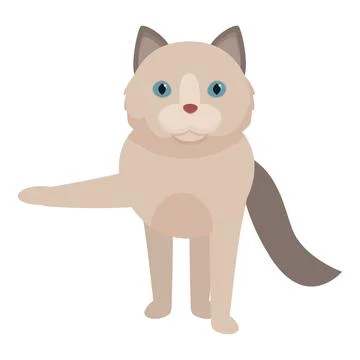 Cute ragdoll cat standing on four legs and raising one paw Stock Illustration