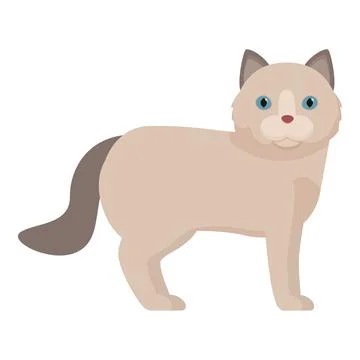 Cute ragdoll cat standing posing for portrait Stock Illustration