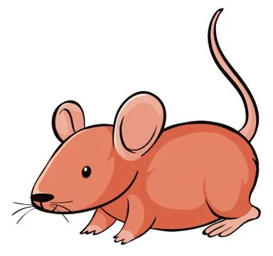 Cute rat on white background Stock Illustration