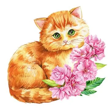 Cute red cat with pink apple flowers, sakura. Watercolor painting illustration Stock Illustration