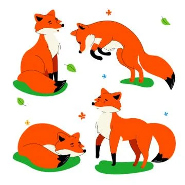 Cute red fox - flat design style set of characters Stock Illustration