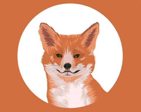 Cute red fox portrait. Fox with large fluffy ears Stock Illustration