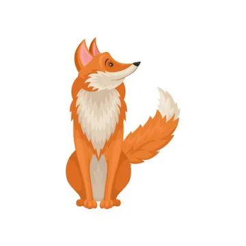 Cute red fox sitting on floor and looking around. Wild animal. Forest creature Stock Illustration