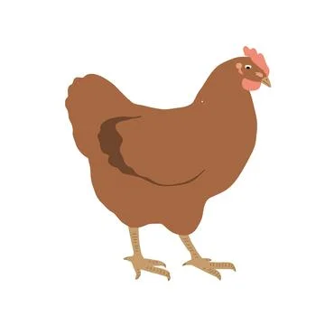 Cute red hen icon, vector illustration isolated on white. Home farming bird Stock Illustration