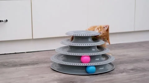 Cute Red Kitten Playing With Ball Stock Footage 285472988