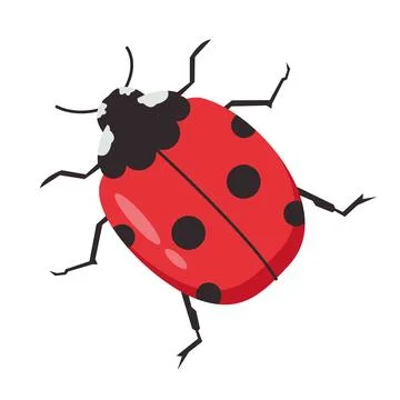 Cute red ladybug vector illustration isolated on white background イラスト素材