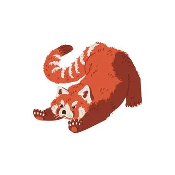 Cute red panda cartoon flat vector illustration, chinese animal pulls up Stock Illustration