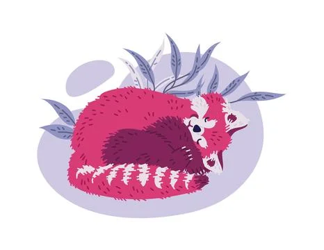 Cute red panda sleeping curled up in ball, cartoon flat vector illustration Stock Illustration