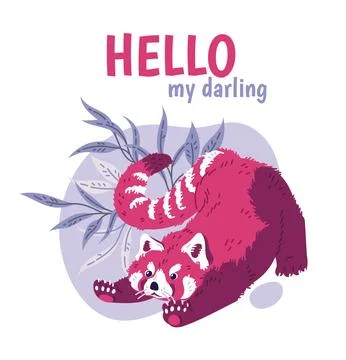 Cute red panda stretching, hello my darling inscription, greeting card - flat Stock Illustration