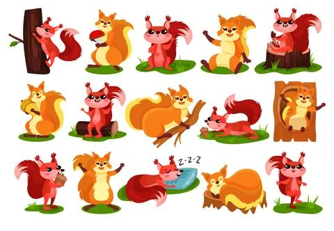 Cute Red Squirrel as Fluffy Forest Creature with Bushy Tail Engaged in Different イラスト素材