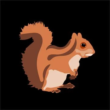 Cute Red Squirrel Illustration on Black Background Ilustración de archivo