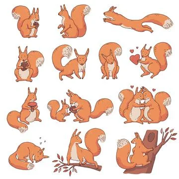 Cute red squirrels with nuts and acorns. Set vector cartoon outline sketch Stock Illustration