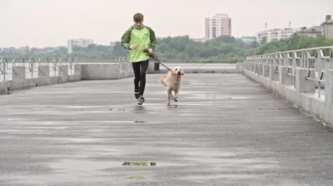 Cute Retriever and His Owner Running Along Pier Stock Footage