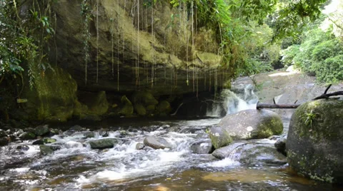 A cute river in the tropics with a small waterfall Stock Footage 34963309