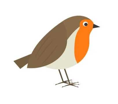 Cute robin bird. Vector illustration. Stock Illustration