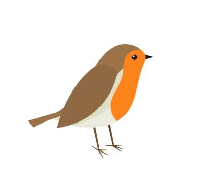 Cute robin bird. Vector illustration. Stock Illustration