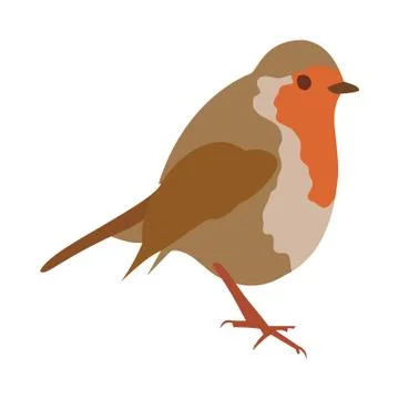 Cute robin bird vector illustration in flat style Stock Illustration