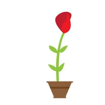 Cute rose on a pot Illustrazione stock
