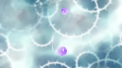 Cute rotating ghost animation. Stock Footage 315195308