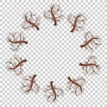 Cute round frames with winter elements Stock Illustration