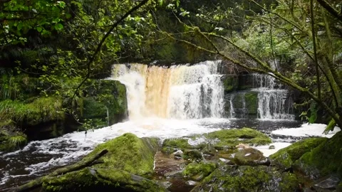 The Cute running high below McLean Falls in the Catlins, Otago, New Zealand. Stock Footage 134990015