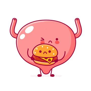 Cute sad funny human bladder organ character with burger. Vector flat line Stock Illustration