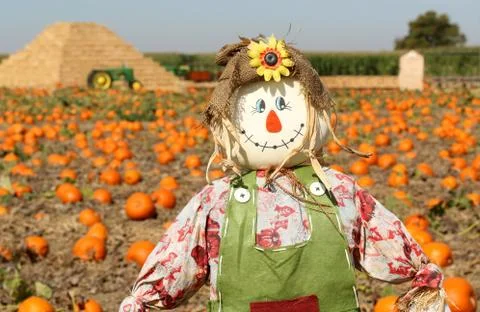 Cute Scarecrow Stock Photos