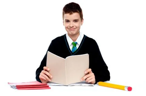 Cute school kid holding notebook and reading Stock Photos