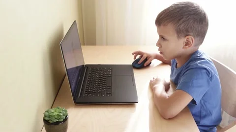 Cute schoolboy doing homework with computer at home. Stock Footage 148373006