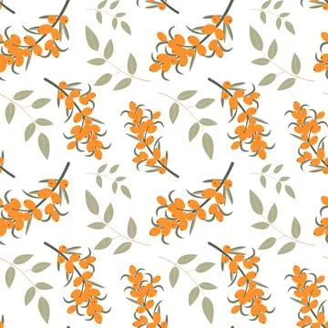 Cute sea buckthorn seamless pattern. Bright sea buckthorn berries, twigs an.. Illustrazione stock