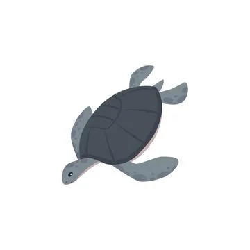 Cute sea turtle vector icon, cartoon grey tortoise character, ocean wild reptile Stock Illustration