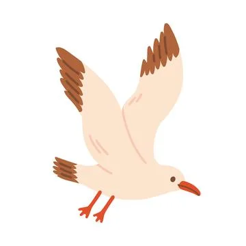 Cute seagull bird vector illustration flying with open wings. Marine bird Stock Illustration