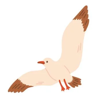 Cute seagull character vector illustration flying upward with open wings Stock Illustration
