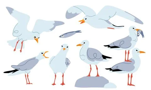 Cute Seagull Illustration Collection in Flat Cartoon Style Stock Illustration