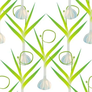 Cute seamless pattern with cartoon garlic, spicy spice Illustrazione stock