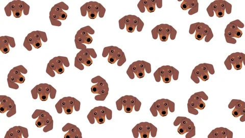 Cute seamless pattern of dachshund dog faces vector illustration on white Stock Footage 345539289