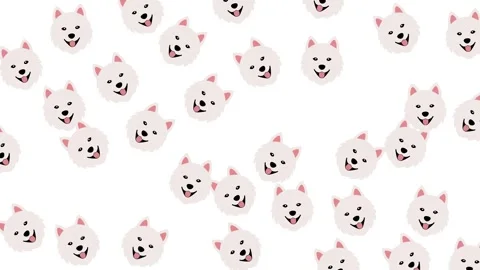 Cute Seamless Pattern of Fluffy White Samoyed Dog Faces on White Background Stock Footage 345539262