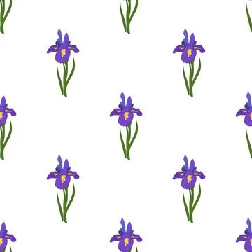 Cute seamless pattern of iris flowers. Bright spring and summer print with green Stock Illustration