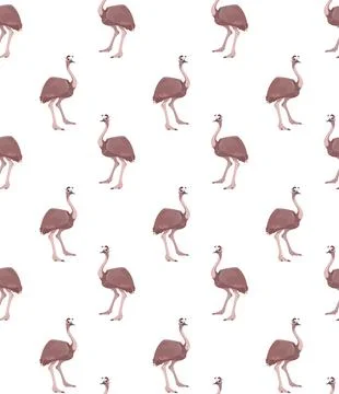 Cute seamless vector pattern with australian ostrich. Brown bird, for printing Illustrazione stock