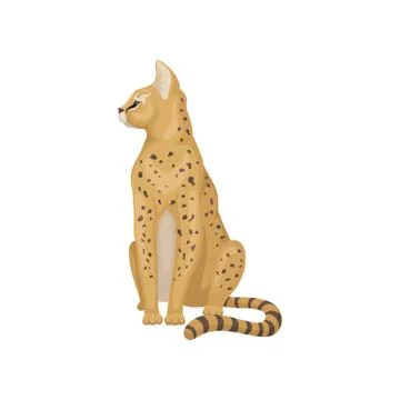 Cute serval sitting and looking around. Wild cat with black spots on body and Stock Illustration