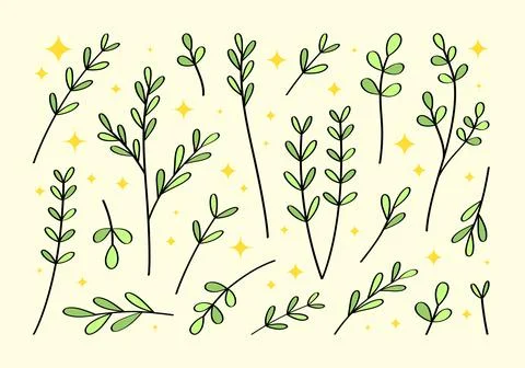 Cute set of hand drawn branches and leaves of bushes and trees. Stock Illustration