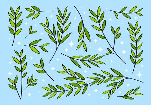Cute set of hand drawn branches and leaves of bushes and trees. Stock Illustration
