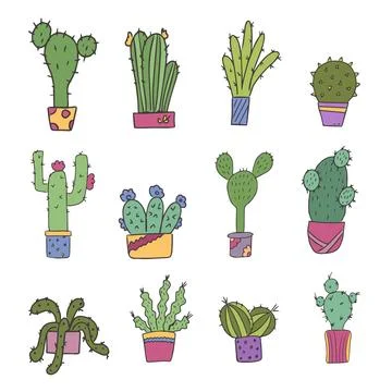 Cute set of potted cacti in doodle style illustration. For the design of Stock Illustration