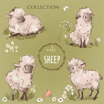 Cute sheeps collection Stock Illustration